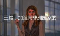 王毅
�：加强同非洲国家的团结合作，是中国外交不变的优先方向