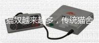 猫奴越来越多，传统猫舍却开不下去了？