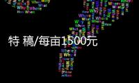特 稿/每亩1500元收购：谁在高价割青麦转饲料？