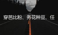 穿芭比粉、务花种豆、任教哈佛……三位西方女领导人卸任生活秀丨智库视点