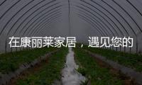 在康丽莱家居，遇见您的专属床垫