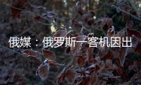 俄媒�：俄罗斯一客机因出现技术故障返航