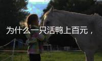 为什么一只活鸭上百元，一只烤鸭只要25元？