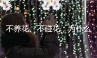 不养花、不碰花

，为什么还会花粉过敏？