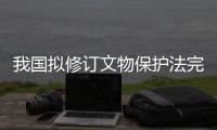 我国拟修订文物保护法完善文物保护制度措施