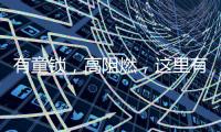 有童锁
，高阻燃，这里有更经济实用的安全插座