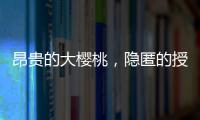 昂贵的大樱桃，隐匿的授粉药