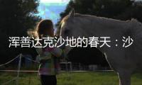 浑善达克沙地的春天	：沙窝子里孕生机
，年年有不同