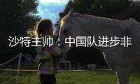 沙特主帅	�：中国队进步非常明显 希望我们能获胜
