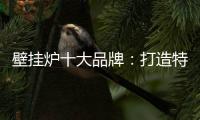 壁挂炉十大品牌	：打造特色产品摆脱大品牌的影响