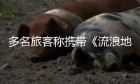 多名旅客称携带《流浪地球2》周边充电宝登机受阻
：最高售价近千元，如今面临处理难
