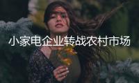 小家电企业转战农村市场 必须手握良策