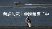 荣耀加冕丨金牌荣膺“中国十大电缆品牌”，匠心铸就行业辉煌