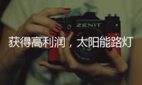 获得高利润�，太阳能路灯企业需要什么商业技能?