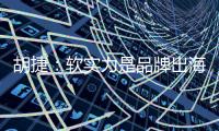 胡捷：软实力是品牌出海的硬道理