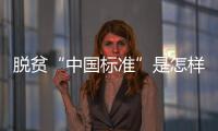 脱贫“中国标准”是怎样制定的
？ 下一步怎么走？