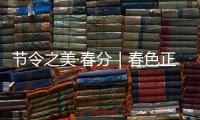 节令之美·春分｜春色正中分
，人间恰良辰