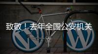 致敬！去年全国公安机关382名民辅警因公牺牲