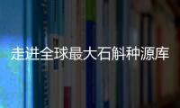 走进全球最大石斛种源库：探索野生石斛种质资源异地保护