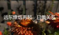远东烽烟再起，日俄关系为何再度紧张
？丨智库视点