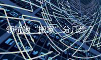 领航鲸“搬家”分几步？为啥要抹凡士林�	？