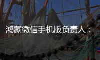 鸿蒙微信手机版负责人	：对齐安卓	，超过iOS