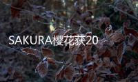 SAKURA樱花获2017年中国厨房电器TOP10