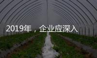 2019年，企业应深入骨髓的塑造小家电品牌