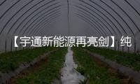 【宇通新能源再亮剑】纯电动港口轮胎起重机即将闪耀天津航运展！