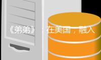 《弟弟》：在美国，融入主流是华裔少年的唯一选择吗	？
