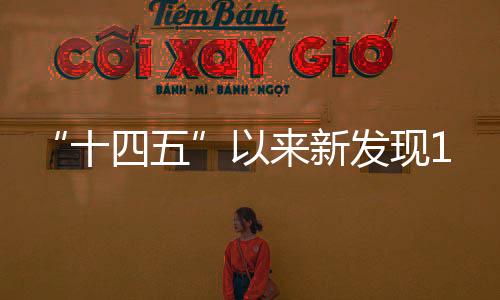 制定并出台了一系列政策
