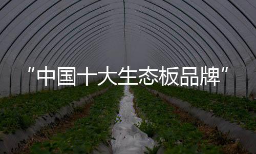中国便利于一身的大生产品