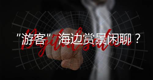 有的游客在军事目标附近徘徊