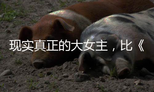 主打一个敢爱敢恨睚眦必报