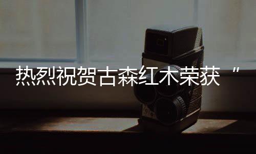 热烈荣获荣誉新的祝贺一年