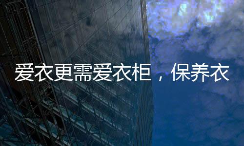专业的爱衣爱衣衣柜