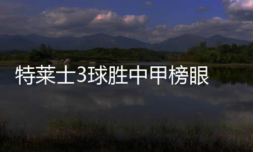 “根宝就是特莱模子”的标语