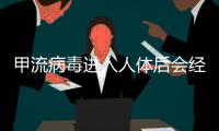 甲流病毒进入人体后会经历什么？