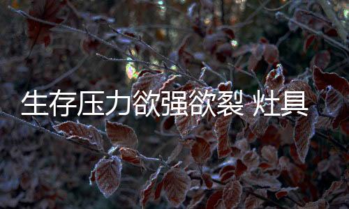 企业的企业压力来自上游企业