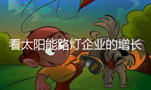 灯力优化投资项目和产品结构