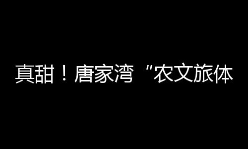 为市民游客带来别样体验