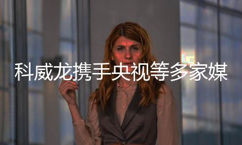 采用CRM客户服务系统