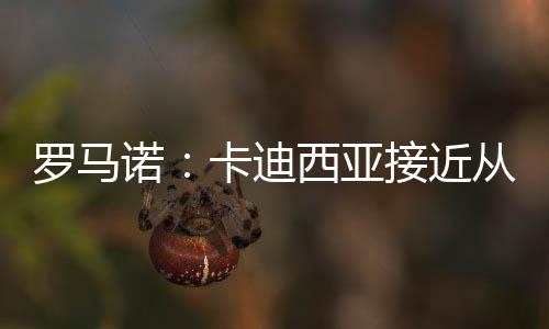 迪西此外罗马诺指出