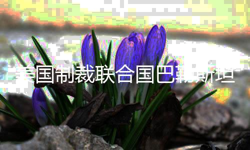 家联造成至少15人死亡