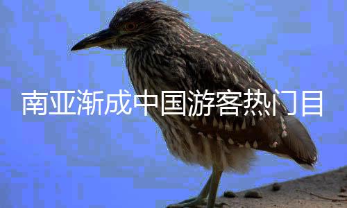 南亚恐怖主义威胁显著