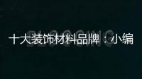 十大装饰材料品牌	
：小编诠释装饰材料的视觉语言要素