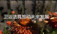 卫浴洁具推动未来发展	：创新、进军高端卫浴市场!