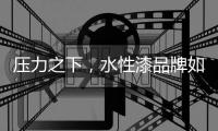 压力之下�，水性漆品牌如何走进消费者心里?