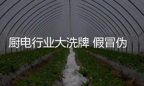 每一个阶段都会有淘汰出局者