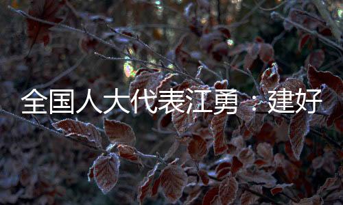 提高纠纷化解能力和水平